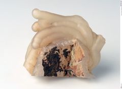Foto von Quarz (Chalcedon) (NHMW-MIN-Ag529)